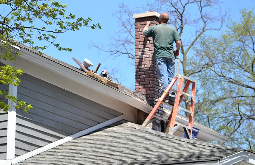 Chimney & Fireplace Inspections Services in Statesboro, GA
